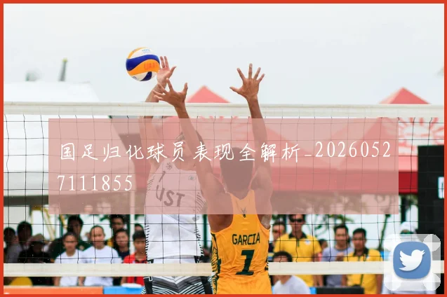 国足归化球员表现全解析_20260527111855