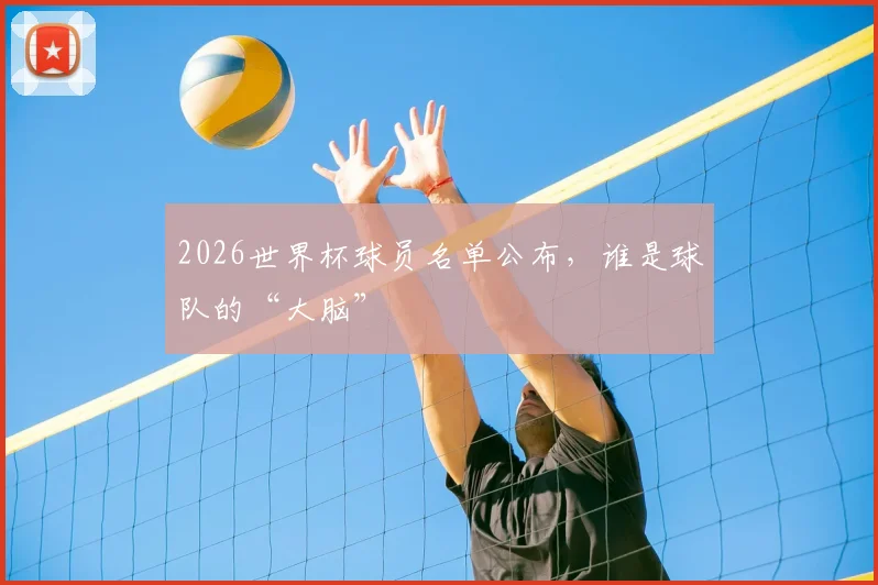 2026世界杯球员名单公布，谁是球队的“大脑”