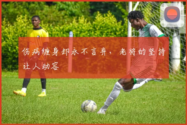 伤病缠身却永不言弃,老将的坚持让人动容