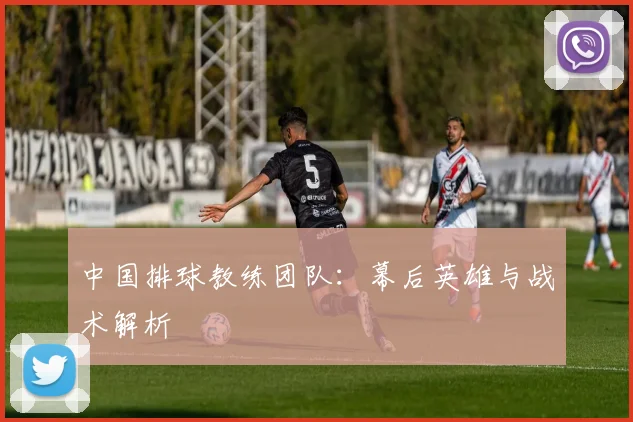 中国排球教练团队：幕后英雄与战术解析