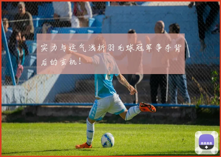 实力与运气浅析羽毛球冠军争夺背后的玄机!