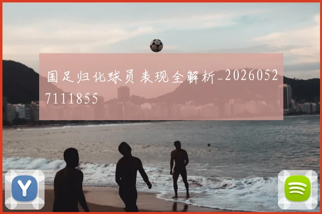 国足归化球员表现全解析_20260527111855